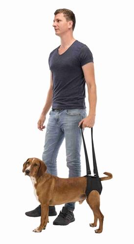 Image du produit Trixie Aide à la marche (Chien)