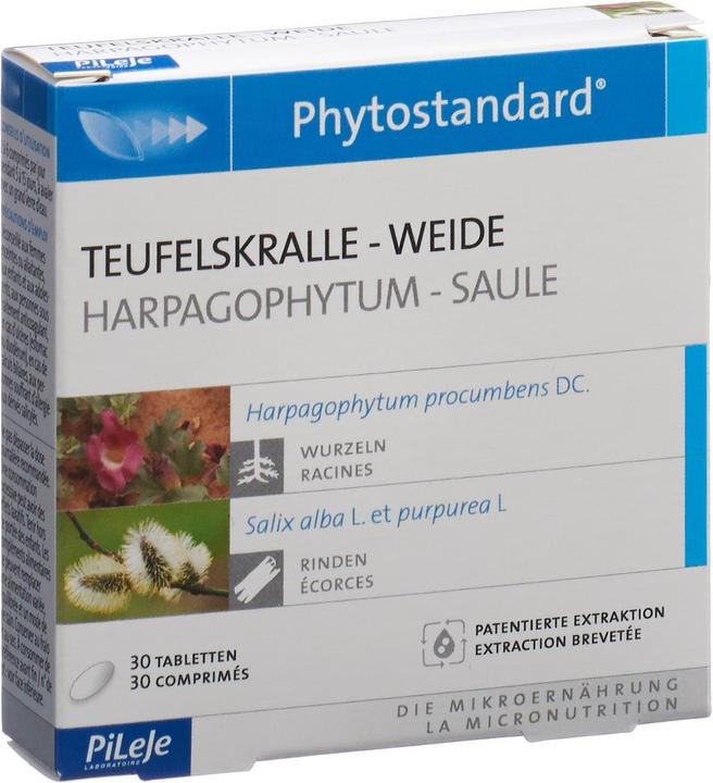 Image du produit Phytostandarts Griffe du Diable Saule (30 pièce(s), Cachets, 34 g)