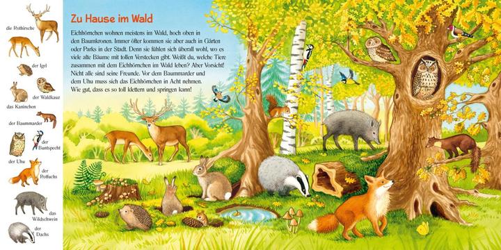 Produktbild Pass gut auf das kleine Eichhörnchen auf (Deutsch)