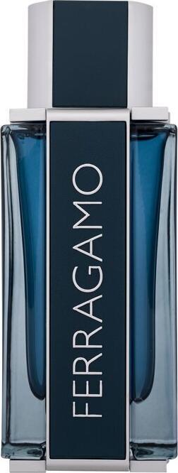 Image du produit Salvatore Ferragamo Cuir intense (Eau de parfum, 100 ml)