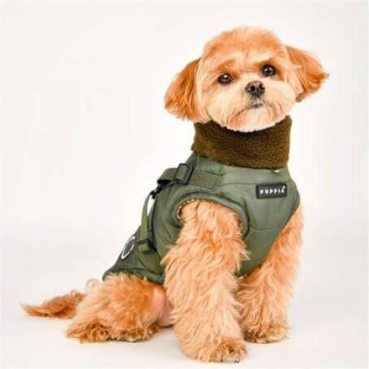 Actual product image Puppia Donavan (S, Dog coat)