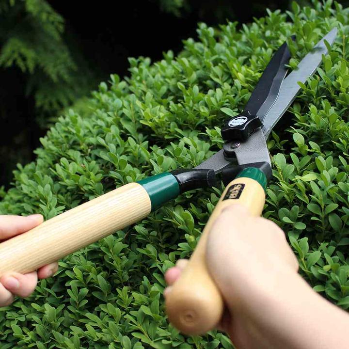 Produktbild Siena Garden Heckenschere mit Wellenschl. (Handheckenschere)