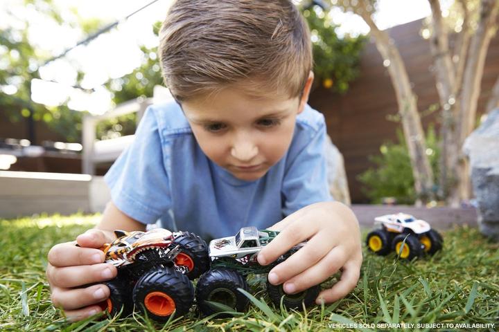 Actual product image Hot Wheels monster truck (assorted)