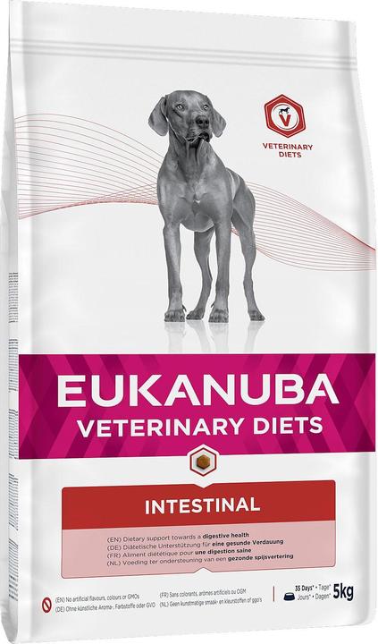 Eukanuba Croquettes pour chiens Intestinal (Adulte, Senior, 1 pcs, 5000 g)