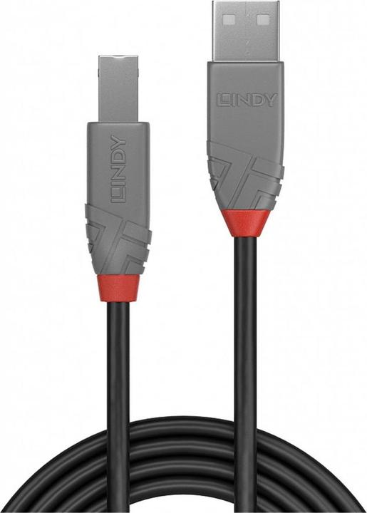 Actual product image Lindy USB A-Usb B (7.50 m, USB 2.0)