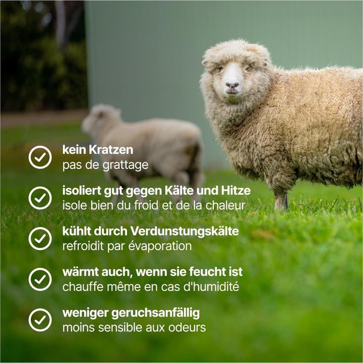 Produktbild Lasting ATAKA Frauen Merino Funktionsunterswäsche, 160gr - schwarz (XS)