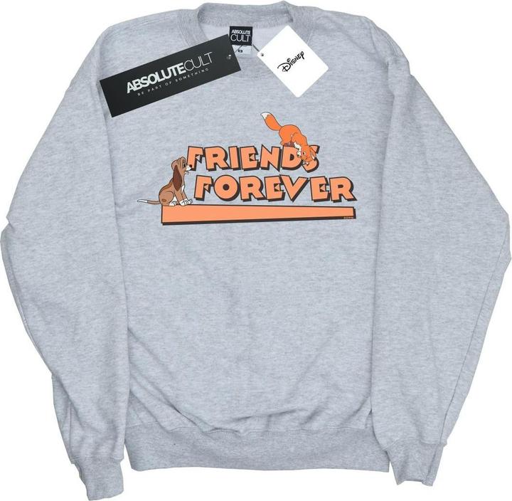 Image du produit Disney - Sweat LITTLE FRIENDS FOREVER - Garçon (152, 158)