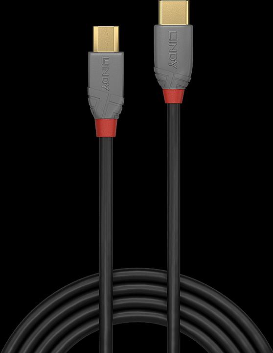 Immagine prodotto Lindy Anthra Line (0.50 m, USB 2.0)