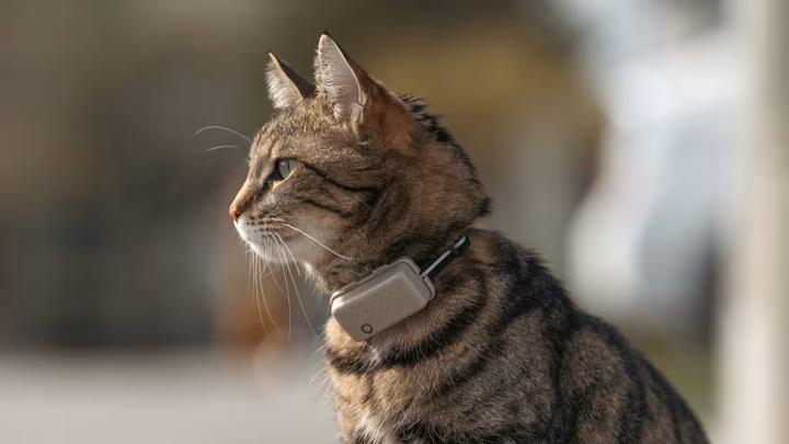 Immagine prodotto Tractive GPS Mini (Taglia unica, Gatto, Generale)