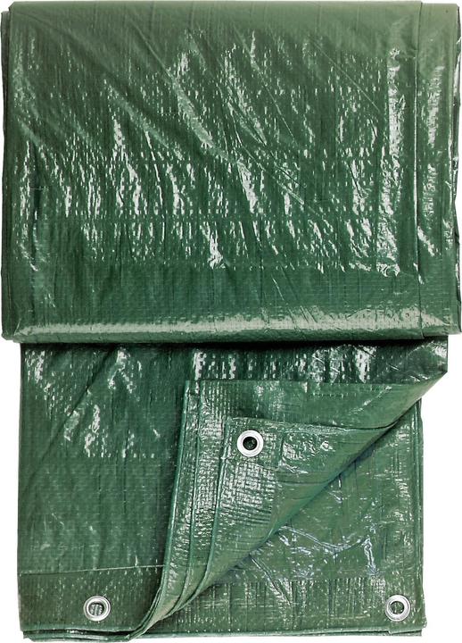 Color Expert Feuilles de protection (2 x 3 m)