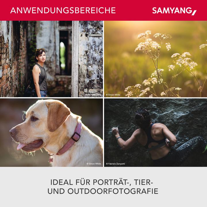 Produktbild Samyang AF 85mm f/1.4, Canon EF (Canon EF, Canon EF-S, APS-C / DX, Vollformat)