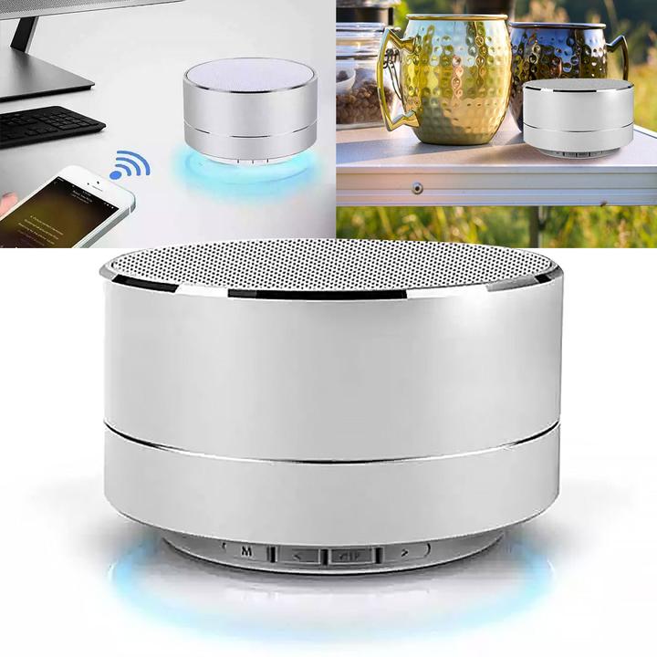 Actual product image Reekin Marlin Speaker with Bluetooth Handsfree (Silver) (SP-007SL) (2.50 h)