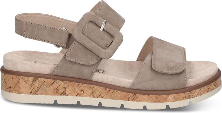 Taupe camoscio