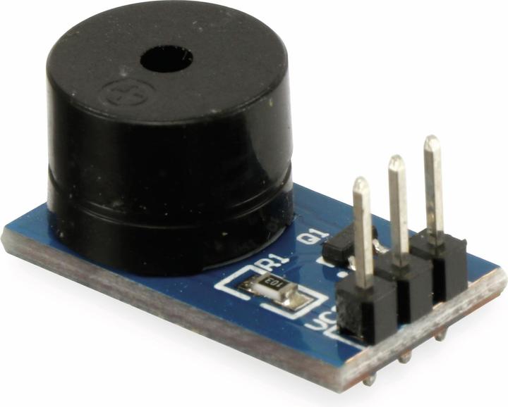 Produktbild Daypower Summer Modul passiv Voice-Buzzer-P