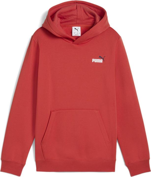 Puma ESS 2 COLOR Small No. 1 Logo Hoodie FL B