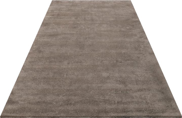 Actual product image Esprit Greenwood Rug (200 x 300 cm)