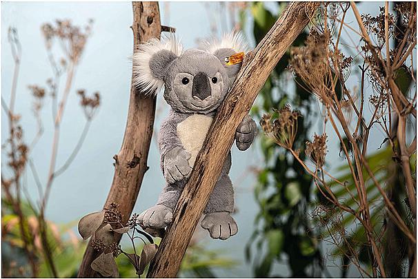 Actual product image Steiff Soft Cuddly Friends knuffel koala Nils 30 cm (30 cm)