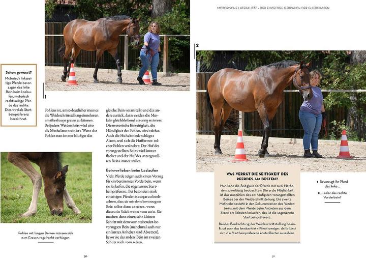 Actual product image Kosmos Lateralität bei Pferden (German, Isabell Marr, Constance Krüger, Farmer, Kate, 2024)