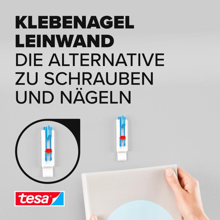 Actual product image tesa Adhesive nail for wallpaper & plaster, ideal for canvas & stretcher frames