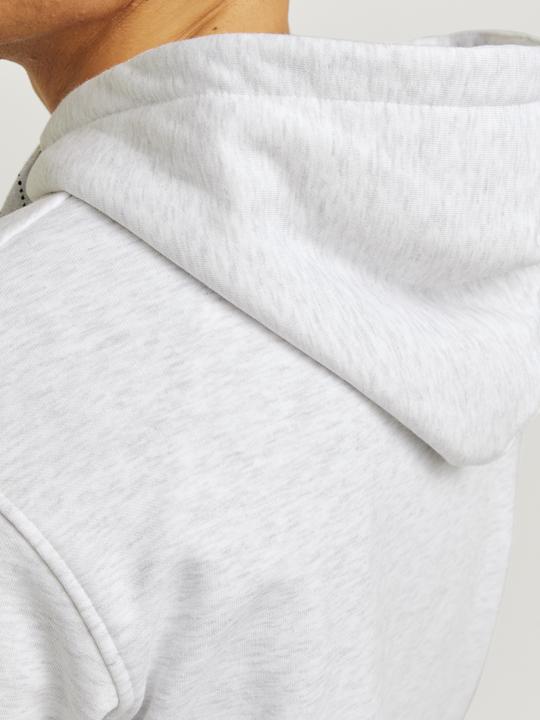 Immagine prodotto Jack & Jones Jorportland Block Sweat Hood Ln (M)