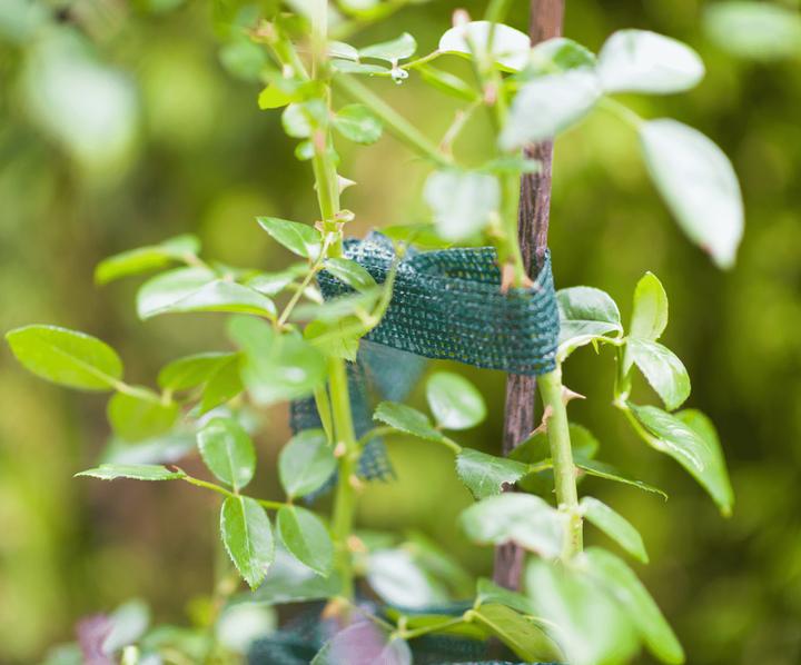 Actual product image Windhager Universal velcro tie (500 cm, 1.20 cm)