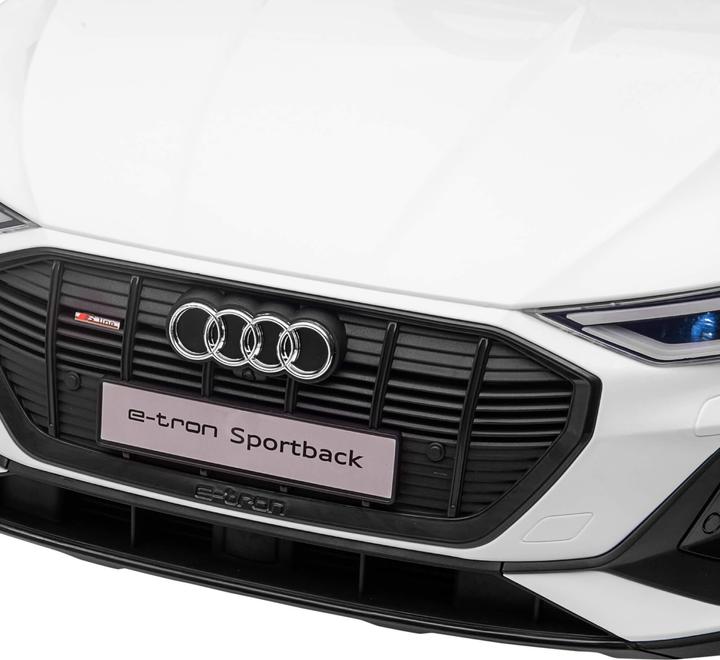 Produktbild Jamb Audi e-tron (12 V)