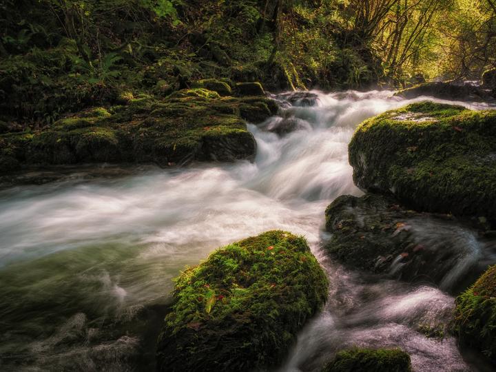 Immagine prodotto Olympus ED 12-45mm F4.0 PRO (Micro Four Thirds, Micro Four Thirds)