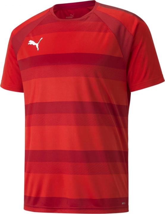 Puma teamVISION Jersey-704921