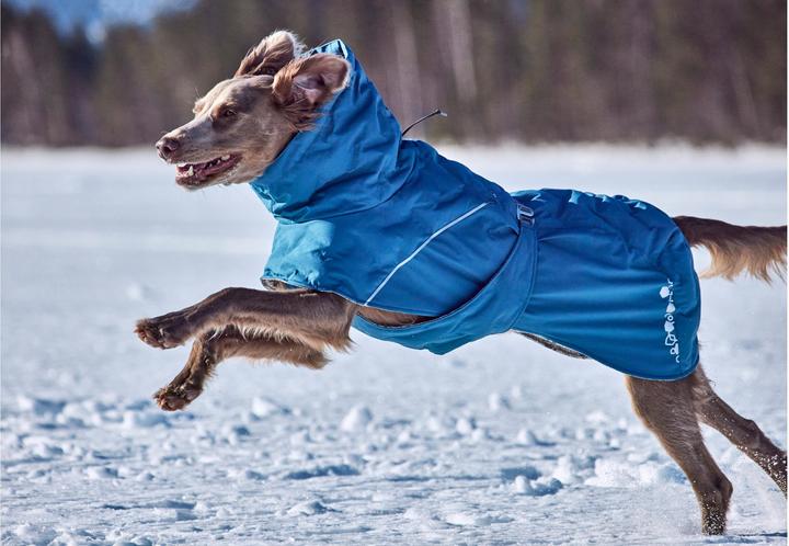 Immagine prodotto Hurtta Scaldino estremo V3 Eco Blue, 30 cm (30, Cappotto per cani)