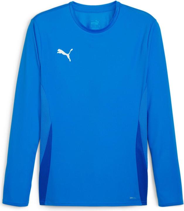 Puma teamGOAL LS Jersey