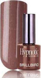 Produktbild BrillBird Hypnotic G&L “86” – 8ml (UV-Gel Lack)