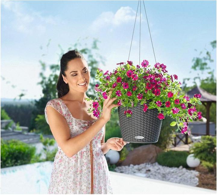 Produktbild Lechuza Nido Cottage (27 cm)
