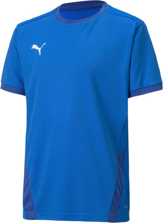 Electricbluelemonadeteampowerblue