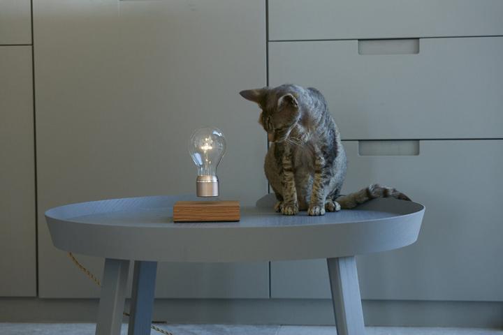 Actual product image Flyte Lampe Buckminster levitation