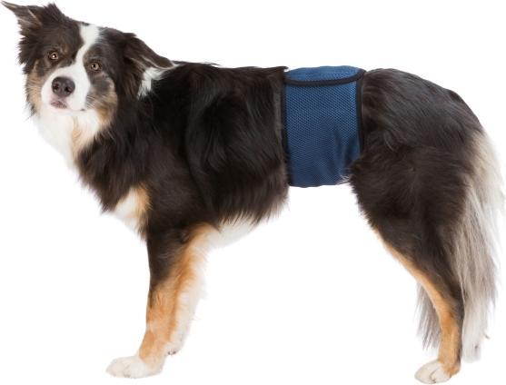 Actual product image Trixie Male bandage S 29-37cm (S)