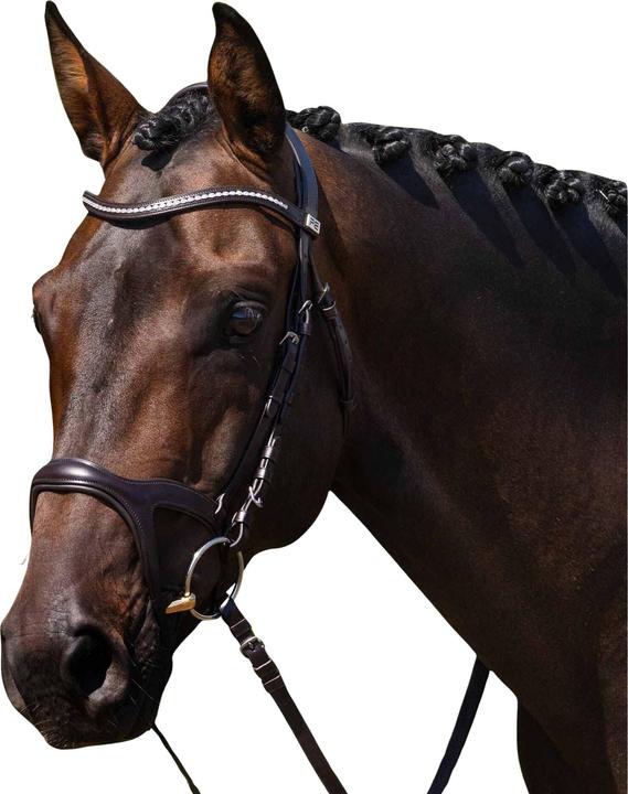 Produktbild Premier Equine San Paolo