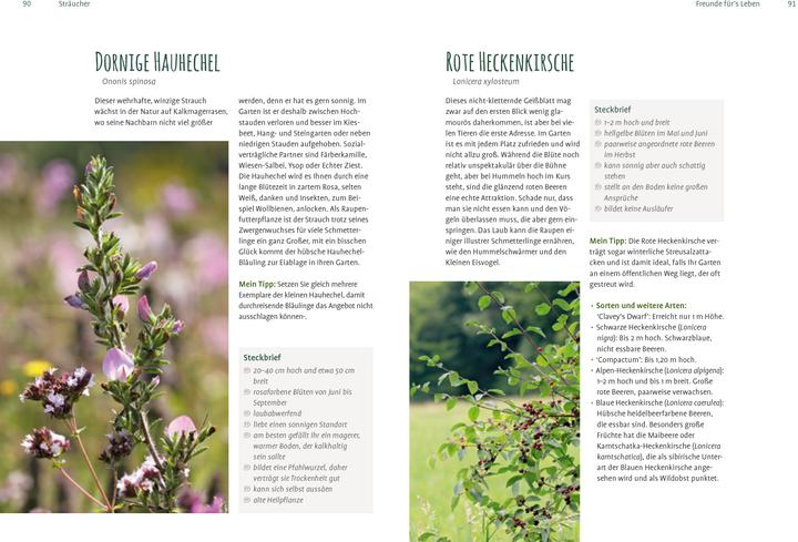Actual product image Heimische Pflanzen für den Garten (German, Elke Schwarzer, 2022)