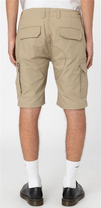 Actual product image Dickies Millerville Shorts - 81693 (32)