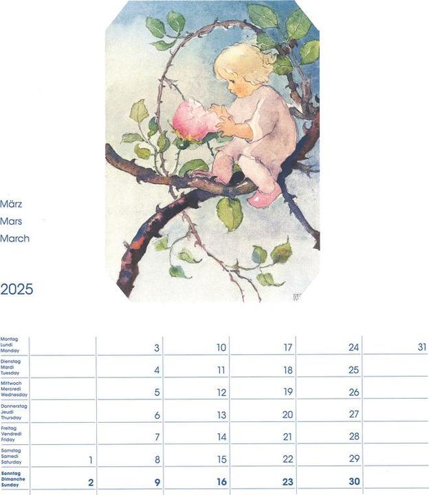 Produktbild Cosa Bildkalender Mili Weber (23 x 27 cm, Harter Einband, Deutsch, Französisch, Italienisch, Englisch)
