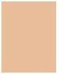Produktbild Bourjois Healthy Mix Clean & Vegan Naturally Radiant Powder (04 Golden Beige)