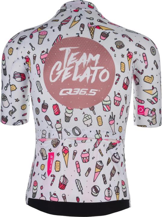 Actual product image Q 36.5 Jersey Short Sleeve R2 (M)