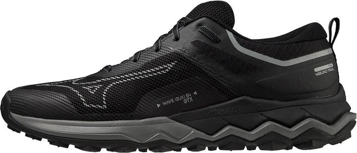 Mizuno Wave Ibuki 4 GTX