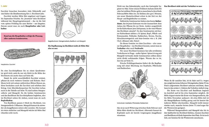 Produktbild Das grosse Hochbeet-Buch (Deutsch, Doris Kampas, 2024)