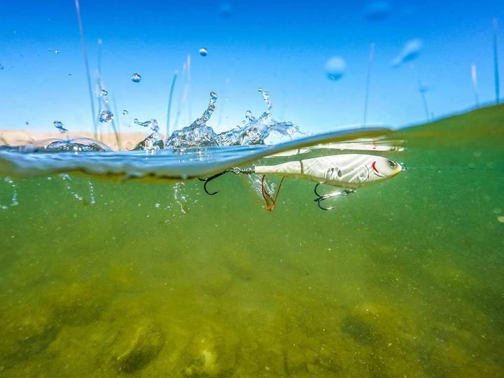 Immagine prodotto Berkley Choppo Plopper (9 cm)