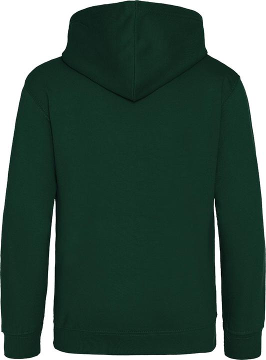 Image du produit Awdis Pull à capuche (104)