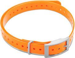 Actual product image Garmin Square Buckle Collar Strap (3, 4, Dog, General)
