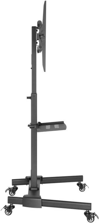 Actual product image Goobay TV Presentation Stand Basic Size L (Universal, 70", 35 kg)