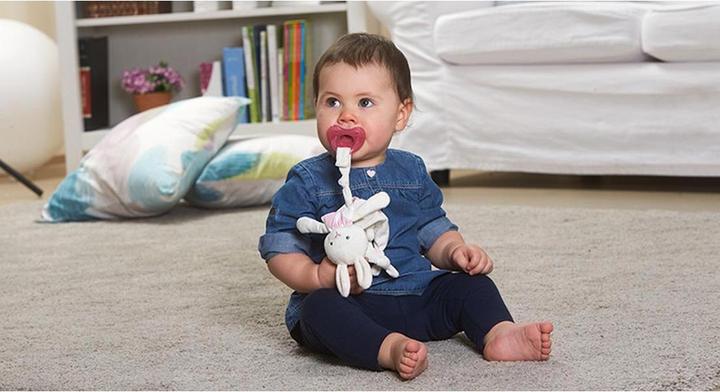 Image du produit Chicco Ami de poche (1 x, dès la naissance)