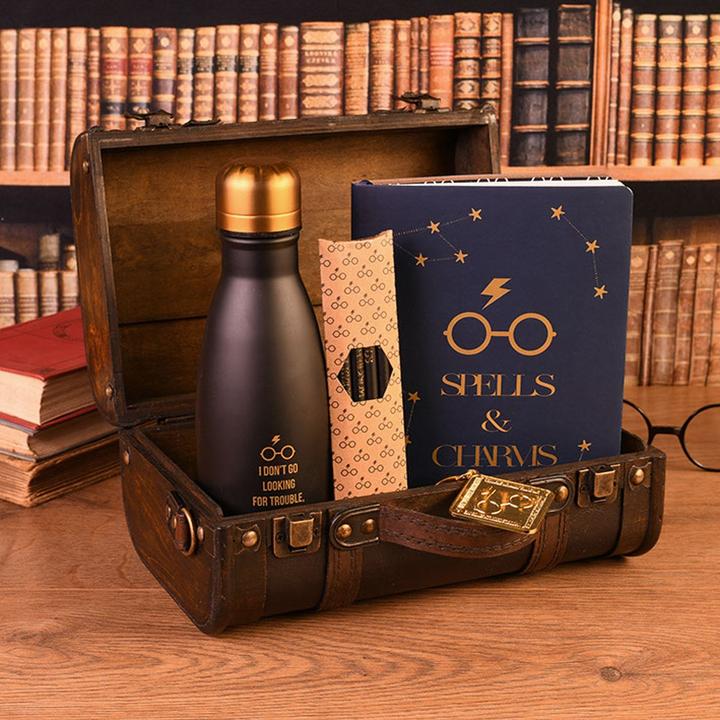 Actual product image Pyramid Harry Potter: Trouble Finds Me