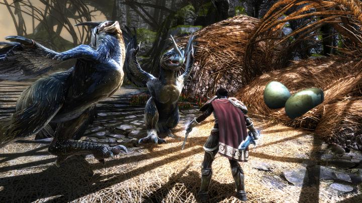 Actual product image THQ Kingdoms of Amalur Re-Reckoning (PS4, EN)